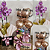 Festa na Caixa com Orquídea - Imagem 1