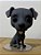 Galgo / Whippet - Imagem 1