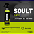 Soult Fast 500ml Limpador De Boinas Pronto Uso - VONIXX - Imagem 2