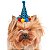 Chapéu de Aniversário Pet - Imagem 5