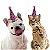 Chapéu de Aniversário Pet - Imagem 6