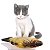 Peixe de Pelúcia com Catnip - Imagem 2