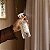HOME SPRAY 250ml - FLOR DE FIGO - Imagem 2