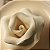 ROSA DIFUSORA - Imagem 3