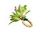 Porta-guardanapo orquídea tigre verde de seda com argola de madeira - Imagem 2