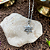 Colar Estrela de David - Jerusalém - Prata 925 - Imagem 1