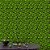Papel de Parede Folhas Pequenas Verde Limão - Imagem 3