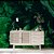 Papel de Parede Folhas Verde Escuro Brilhante - Imagem 3