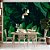 Papel de Parede Folhas Verde Escuro Brilhante - Imagem 1