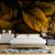 Papel de Parede Folhas Gigantes Amarelo Queimado - Imagem 2