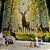 Papel de Parede Safari Veados na Floresta - Imagem 1