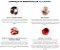 Glicamina 30ml: Solução Completa para Diabetes, Pressão Arterial e Colesterol - Imagem 2