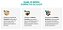 Audionex 30ml: Ingredientes Naturais para Apoiar o Bem-Estar Auditivo - Imagem 5