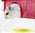 COMBO Gaiola para Hamster e Topolino Completa - Imagem 6
