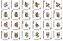 Matriz Bordado Cesto Com Flores Contorno - Imagem 10