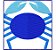 Matriz Bordado Signos Em Bloco - Imagem 4
