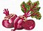 Matriz Bordado Vegetais E Legumes Para Pano De Prato - Imagem 2