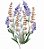 Matriz Bordado Lavanda Com Rosas - Imagem 7