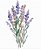 Matriz Bordado Lavanda Com Rosas - Imagem 9