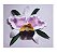 Matriz Bordado 3d Orquídea - Imagem 1