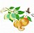 Matriz Bordado Pano De Prato Frutas Com Abelhinha - Imagem 3