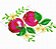 Matriz Bordado Frutas Com Florzinhas Para Pano De Prato - Imagem 8
