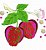 Matriz Bordado Pano De Prato Frutas Com Flores Delicadas - Imagem 6