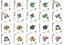 Matriz Bordado Flores Delicadas 8 - Imagem 10