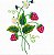 Matriz Bordado Morango Com Florzinha - Imagem 8