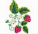 Matriz Bordado Morango Com Florzinha - Imagem 1