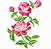 Matriz Bordado Rosas Especiais Com Botão - Imagem 1