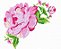 Matriz Bordado Rosas Especiais Com Botão - Imagem 7