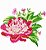 Matriz Bordado Rosas Especiais Com Botão - Imagem 6