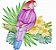 Matriz Bordado Papagaios E Araras Com Flores - Imagem 6