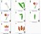 Matriz Bordado 3d Tulipa Delicada - Imagem 5