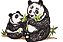 Matriz Bordado Coleção Panda Precioso - Imagem 5