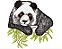 Matriz Bordado Coleção Panda Precioso - Imagem 6