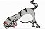 Matriz Bordado Gato Na Yoga - Imagem 4
