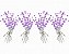 Matriz Bordado Barrinha Floral Delicada - Imagem 9