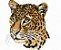 Matriz Bordado Felinos Close - Imagem 1
