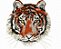 Matriz Bordado Felinos Close - Imagem 4