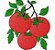 Matriz Bordado Pano De Prato Coleção Tomates - Imagem 2