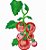 Matriz Bordado Pano De Prato Coleção Tomates - Imagem 5