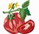 Matriz Bordado Pano De Prato Coleção Tomates - Imagem 6