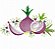 Matriz Bordado Pano De Prato Frutas Alho E Cebola - Imagem 9