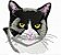 Matriz Bordado Coleção Gatos Faces - Imagem 1