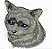 Matriz Bordado Coleção Gatos Faces - Imagem 5