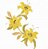 Matriz Bordado Lindas Flores Amarelas - Imagem 7