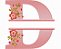 Matriz Bordado Alfabeto Split Com Flores Para Nome - Imagem 4