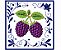 Matriz Bordado Pano De Prato Frutas No Azulejo - Imagem 6